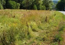 TEREN INTRAVILAN ÎN MARGA-LA DN68 JUD.CARAȘ-SEVERIN