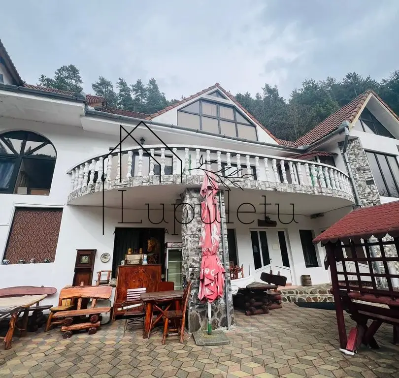 Pensiune de vânzare | 400 MPU | 10 Camere | Rasinari - Curmatura
