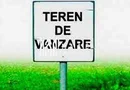 Teren extravilan | 7.800 mp | Saliste