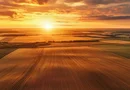 Fermă 1.500 ha – Nord-Est România | Investiție Operațională