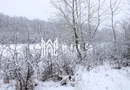 Super oferta I teren intravilan de vanzare in Cisnadie