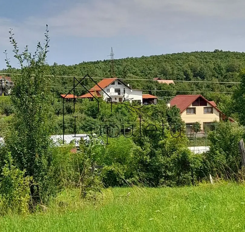 Teren Intravilan | 1500 MPU | Tocile, Comuna Sadu