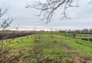 Casă în Dorobanți / 2 fronturi stradale