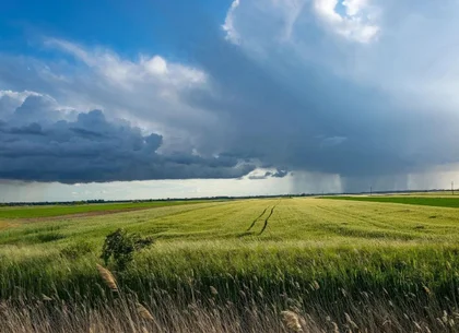 Investiție Agricolă Operațională, Fermă Completă de 730 ha în Nord-Est