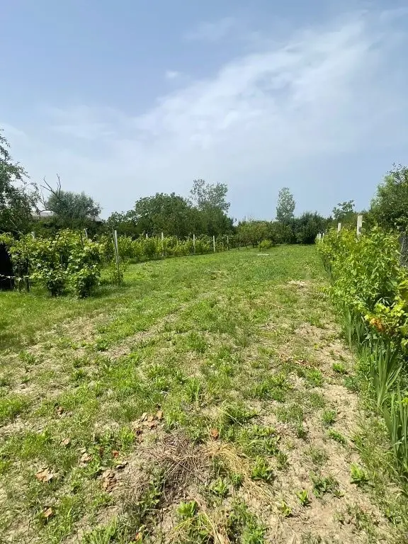 Vând teren intravilan, Str Dealului 64 - 936 mp,front stradal 13.4 m