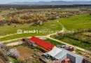 PREȚ AJUSTAT | Casa din lunca Mureșului: intimitate 100%