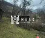 Casa veche I Bistra I Alba 1850 mp teren