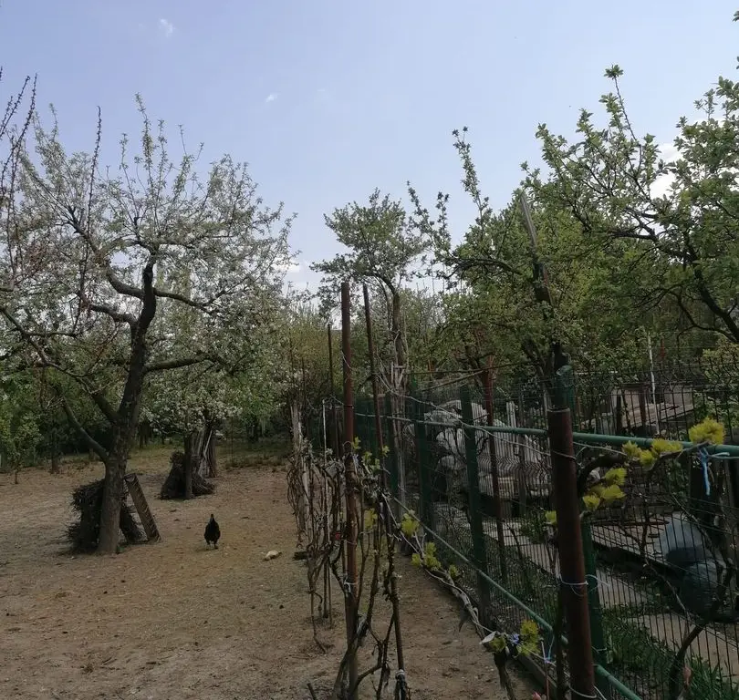 Ag EUROPA vinde casa 6 cam teren 11 ari în zona 14 Mai.
