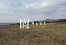 Teren 6,75 ha | Panoramă și Acces Excelent | Dealul Daii