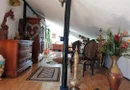COTROCENI - Cuibușorul de nebunii al pictorului Zamfir DUMITRESCU