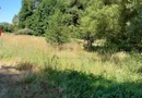 TEREN INTRAVILAN ÎN MARGA-LA DN68 JUD.CARAȘ-SEVERIN