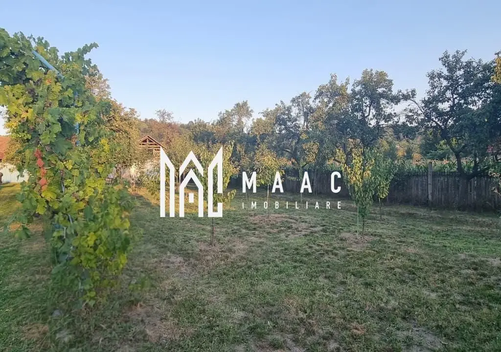 CASA LADESTI-VALCEA| RENOVATA SI MOBILATA| 5000 MP TEREN