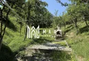 Casă I Teren 1550 mp I Sat Vale I Mărginimea Sibiului