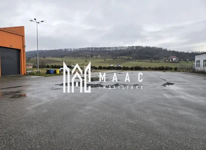 Hală cu Birouri și Teren 12.000 mp I De Vânzare I Bradu I Sibiu