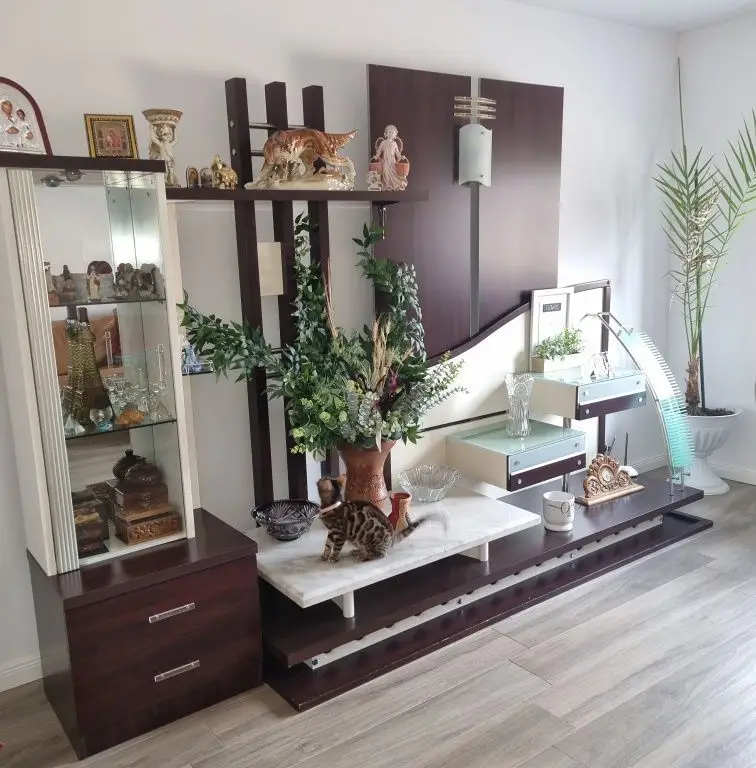 BRASADAS vinde casă cu teren generos in zona 14 Mai.