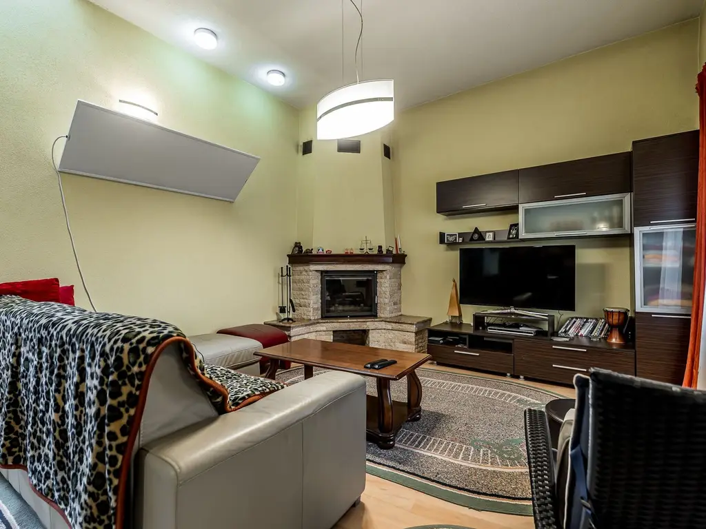 3 surse de venit într-o SINGURĂ proprietate de 950 mp în Aradul Nou