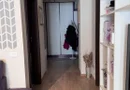 APARTAMENT LA CHEIE 3 CAMERE 2 BAI CURTE PROPRIE PARCARE SUBTERANA SI LIFT