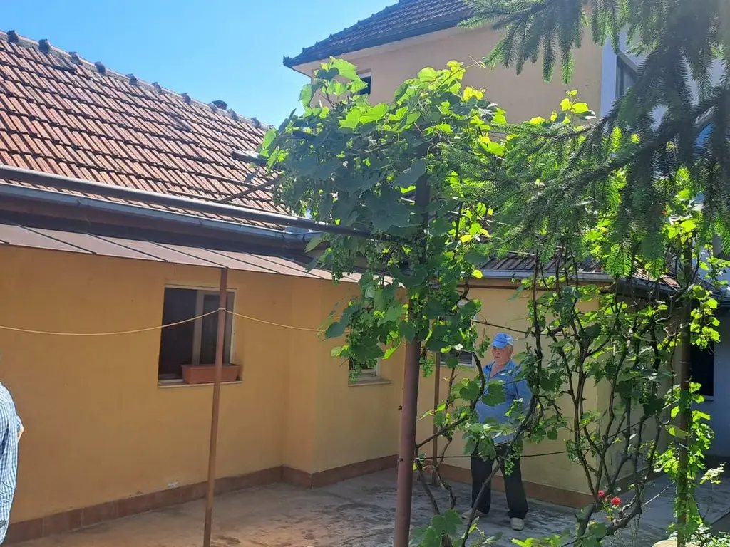 BRASADAS vinde prin REPREZENTARE EXCLUSIVA casa 8 cam 450mp.