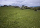 Teren de vânzare