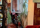 Apartament 4 camere decomandat, sector 1