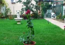 Casa/Vila/Spatiu comercial Rahova-Sos.Salaj