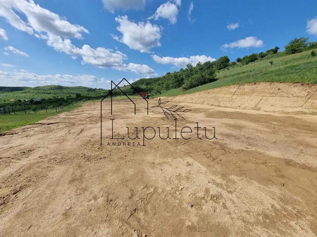Teren Extravilan de Vânzare – 2.500 mp | Hamba | Zonă în Dezvoltare