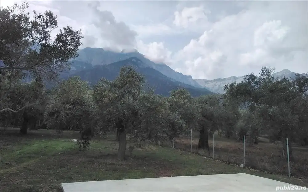 Skala Potamia Thassos-casa piatră+studio+cabană lemn,dependinte, 2500mp teren,700m până la mare....