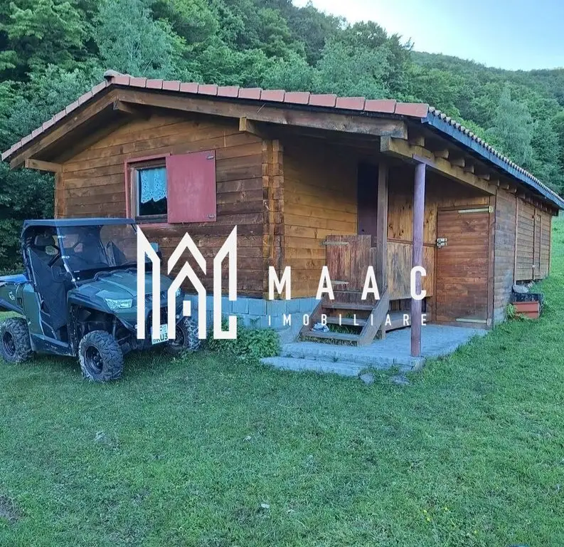 Teren extravilan 17.500 mp | Apoldu de Sus | cabană 46 mp