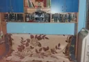 VANZARI apartamente 4 camere