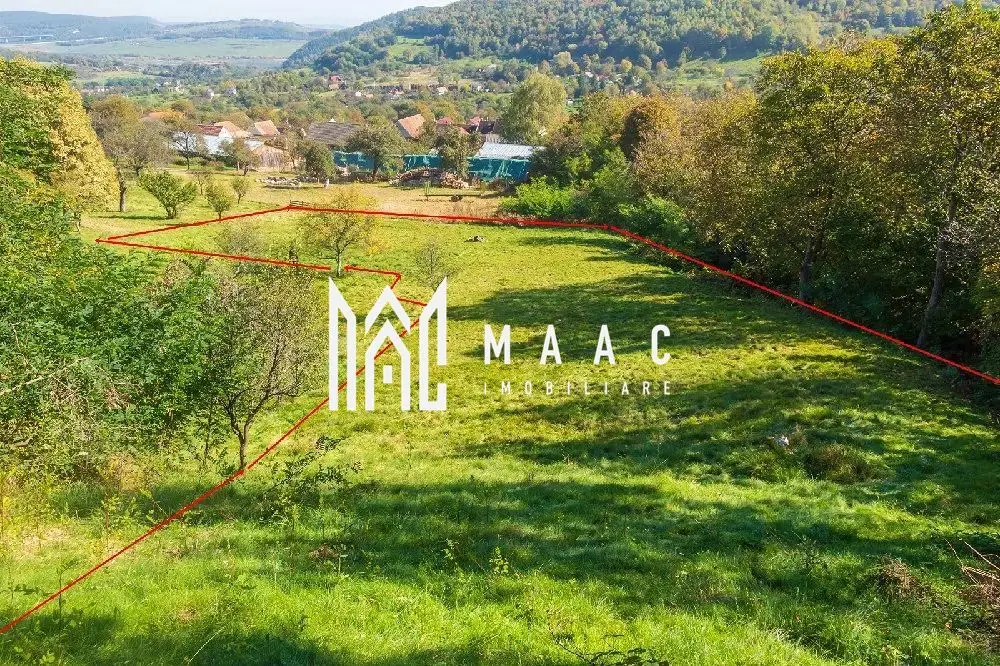 Teren | Intravilan | 2439 MPU | Fântânele