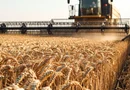 1800 HA Ferma integrată – activ complet operațional și certificat