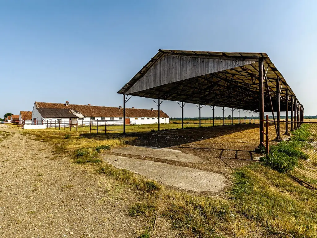 Fermă Mândruloc 2,5 ha