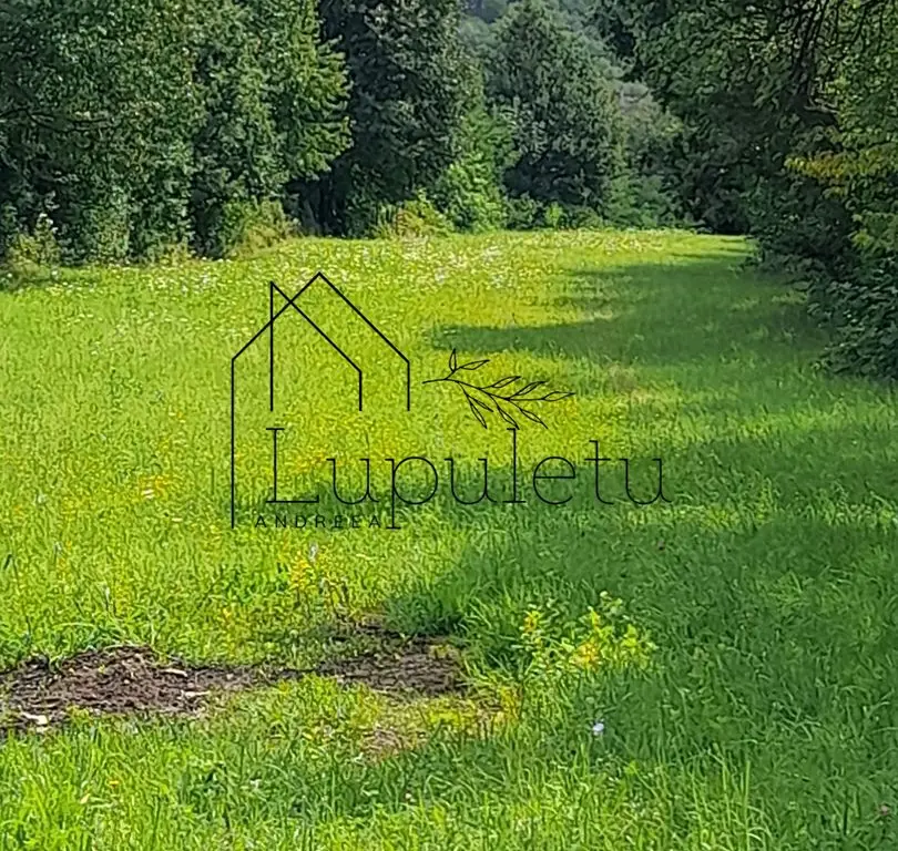 Teren Intravilan | 1500 MPU | Tocile, Comuna Sadu