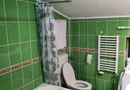 BRASADAS închiriază ap 2 cam la MANSARDA zona Dorobanti.