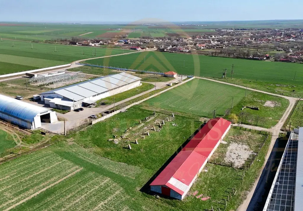 Tariverde - Ferma zootehnica functionala, 3 hectare teren intravilan!