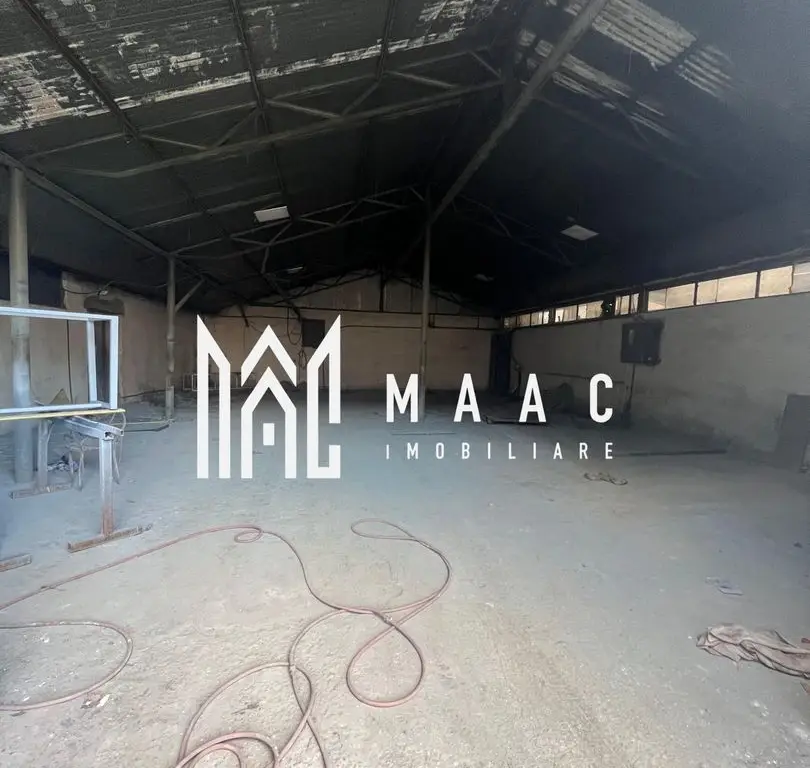 Hala | 380 MP | Teren 800 MP