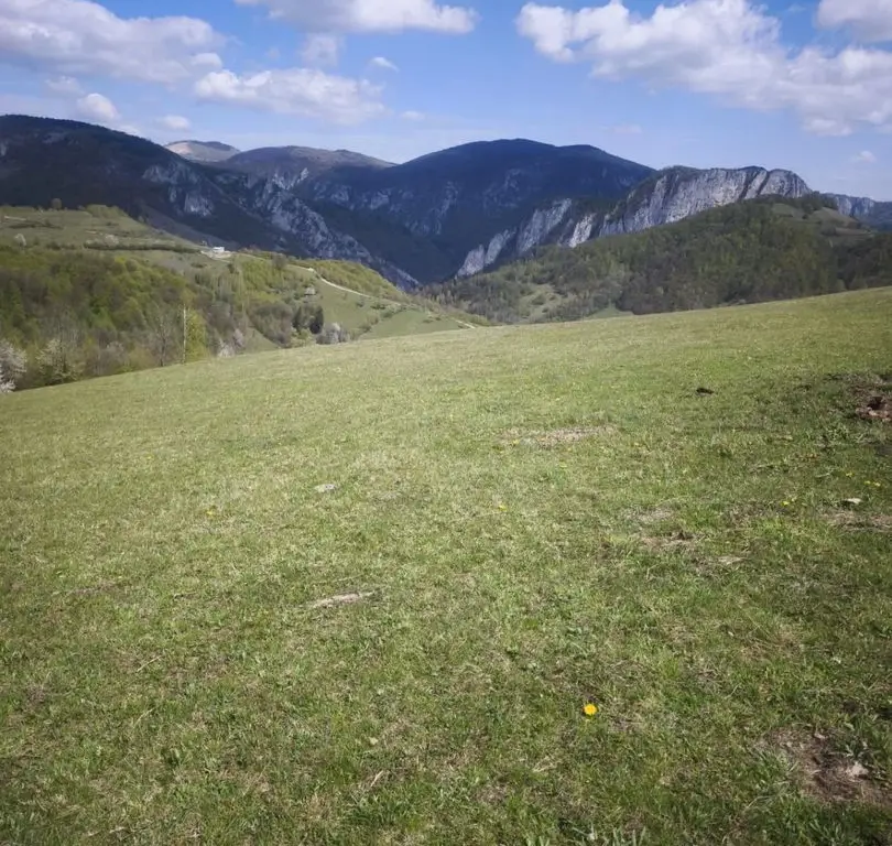 Teren de vânzare
