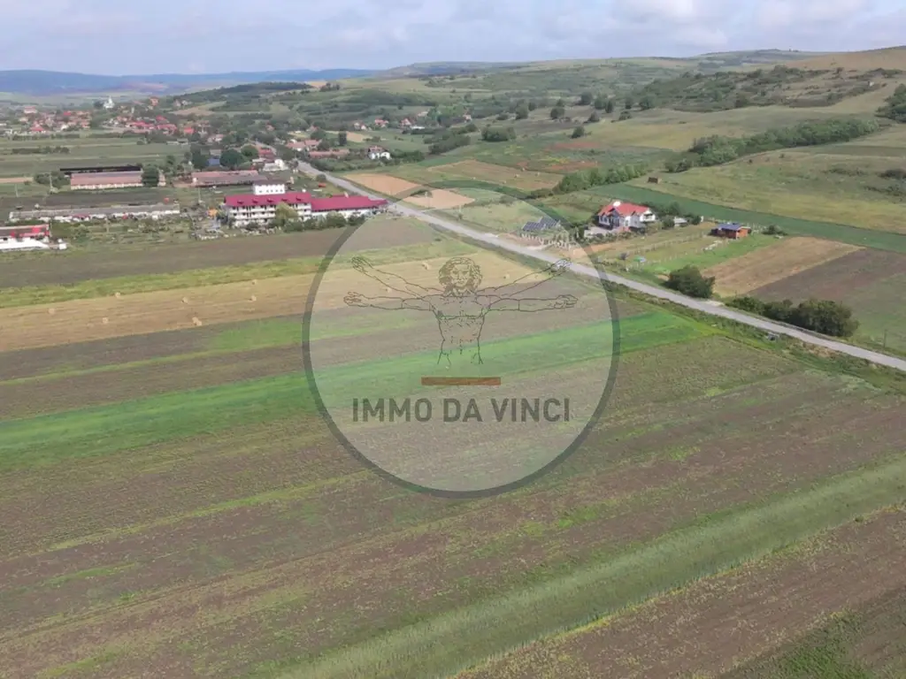 Teren 10.670 mp | Borșa Cluj | Front 38m | Utilități