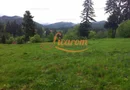 Teren intravilan Cotul Donului,pretabil Hotel/pensiune.