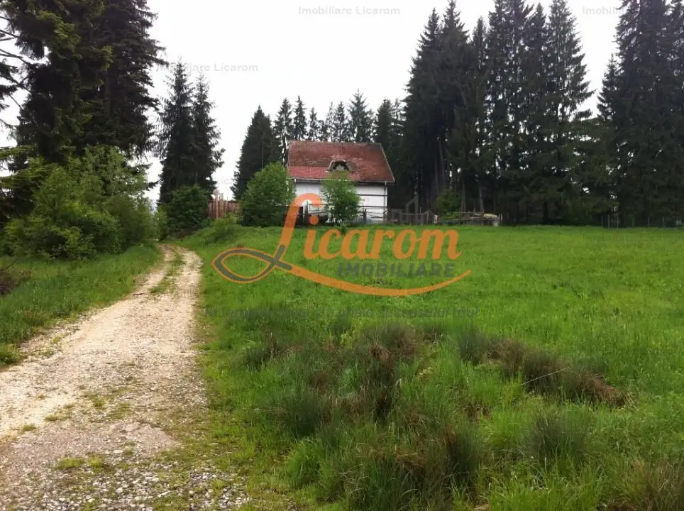 Teren intravilan Cotul Donului,pretabil Hotel/pensiune.