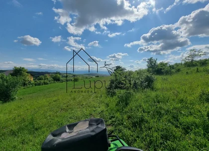 Teren Extravilan de Vânzare – 2.500 mp | Hamba