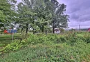 AZURA Imobiliare - Budeasa, Teren 5.069 mp, Casa BONUS