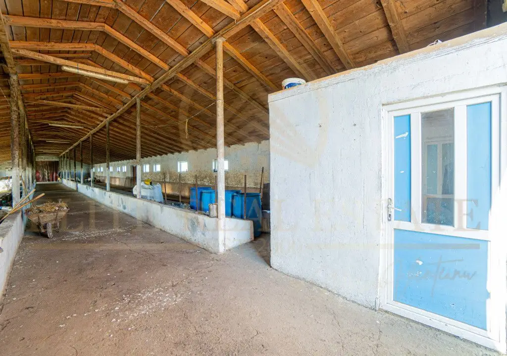 Tariverde - Ferma zootehnica functionala, 3 hectare teren intravilan!
