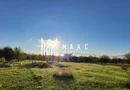 Teren | 1156MP | Intravilan | Turnișor