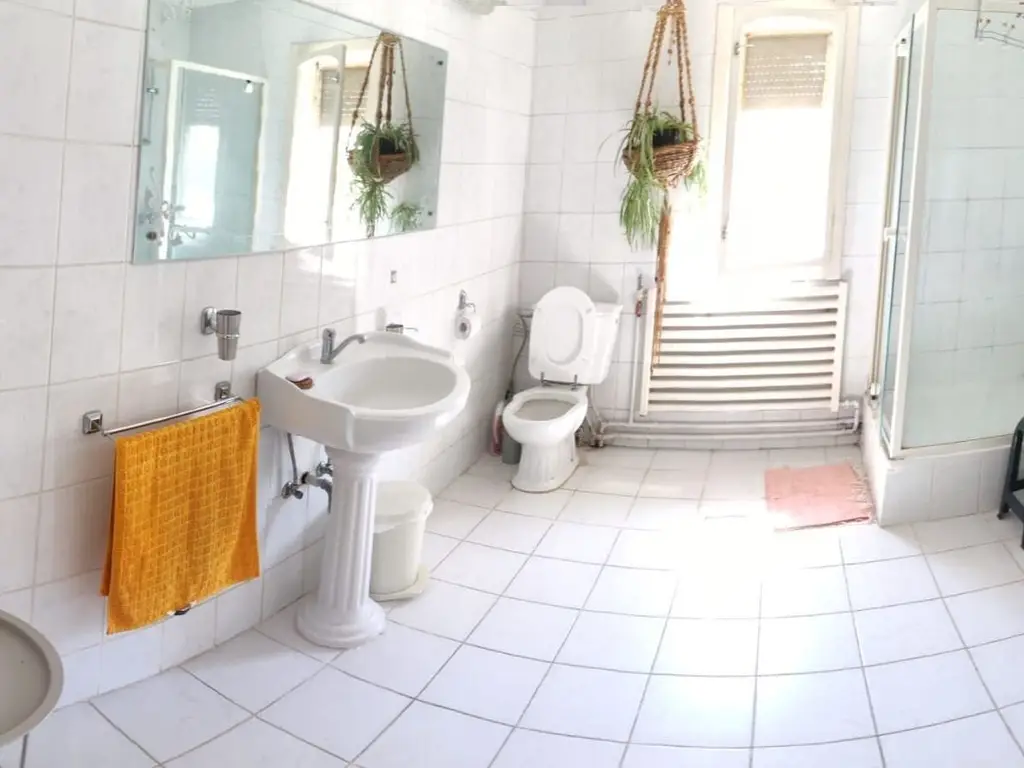 BRASADAS vinde casa individuala spatioasa in zona Burdea.