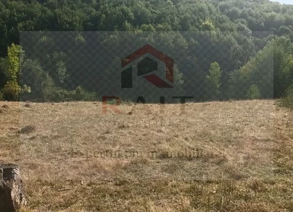 Teren de vanzare Coebeni-Turburea-Arges