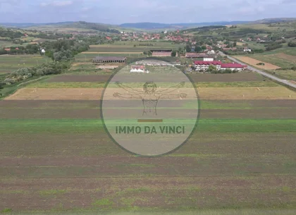 Teren 10.670 mp | Borșa Cluj | Front 38m | Utilități