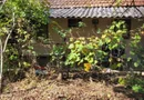 BRASADAS vinde casa in Moftinul Mare.