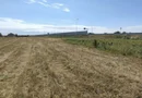 Teren extravilan langa centura SM