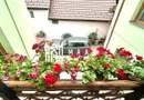 Case duplex | 5 camere | 2 corpuri | Garaj | 185 mp utili | Turnisor